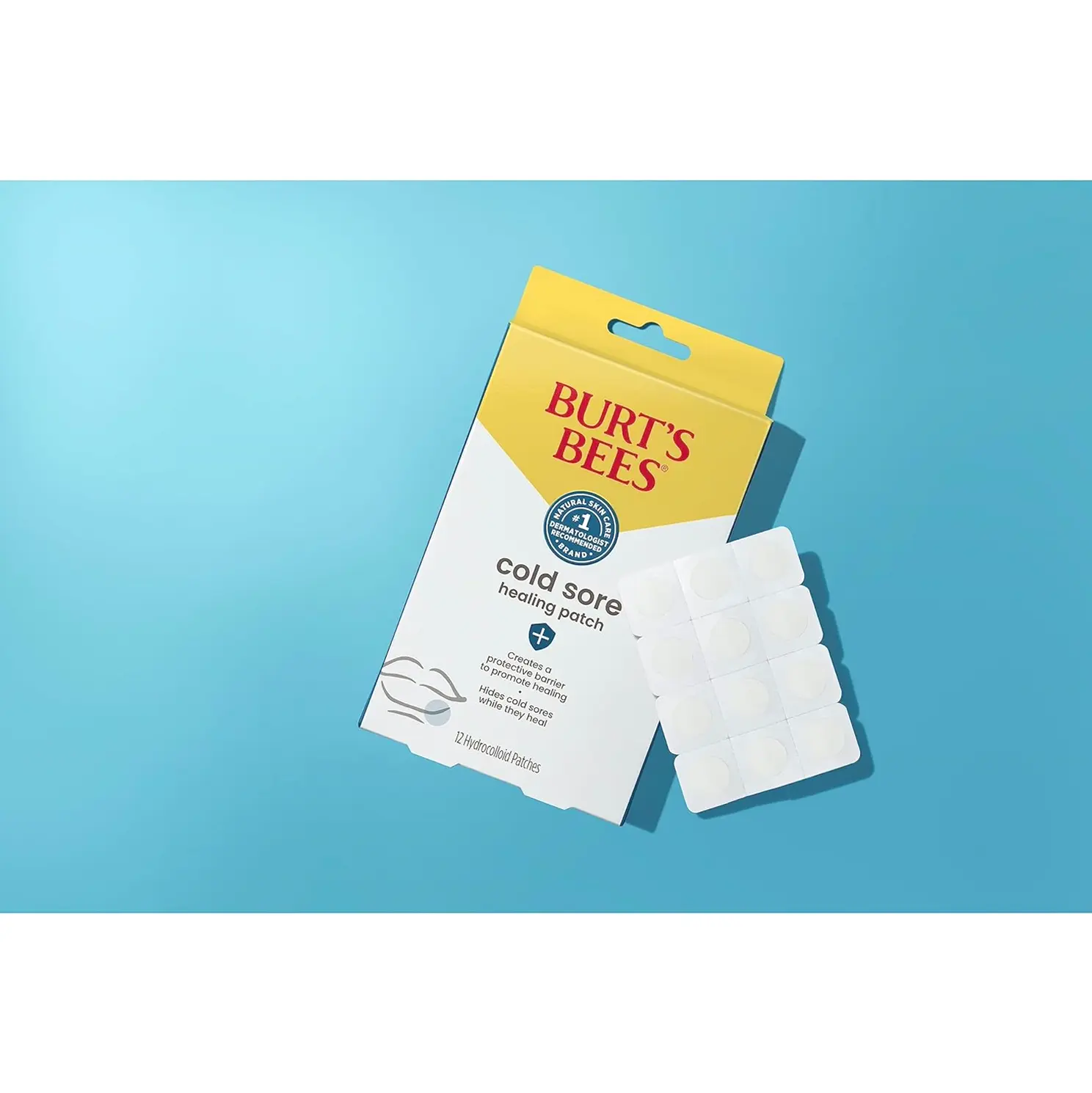 Burt's Bees Fever Blister Treatment Kit