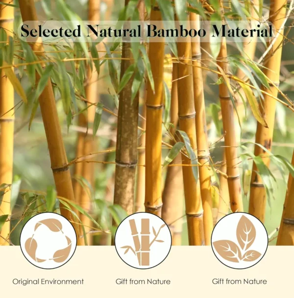 Bamboo Hairbrush for Scalp Massage