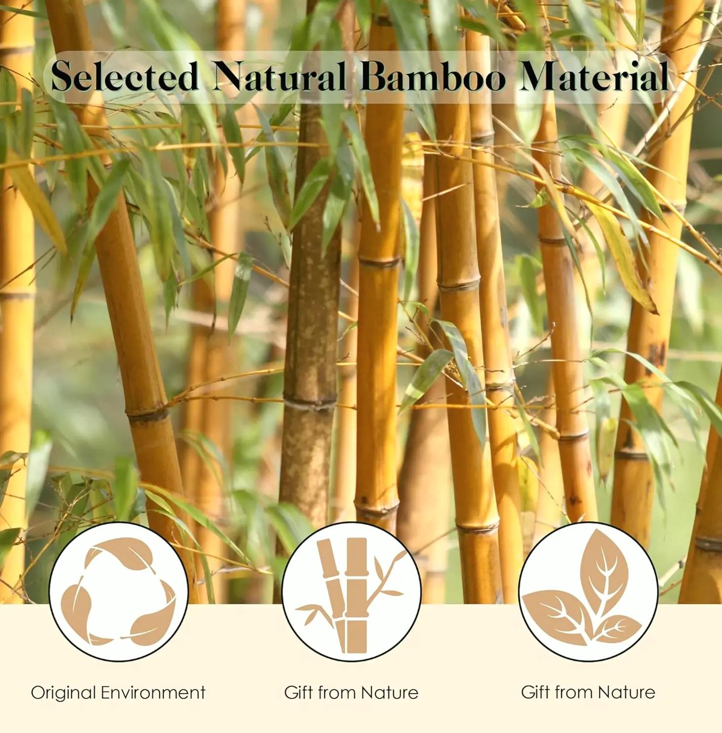 Bamboo Hairbrush for Scalp Massage