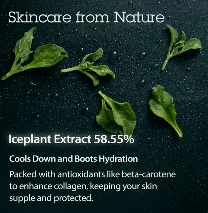 BLITHE's Pressed Moisturizer Crystal Iceplant Skin Serum - Top K-Beauty Product