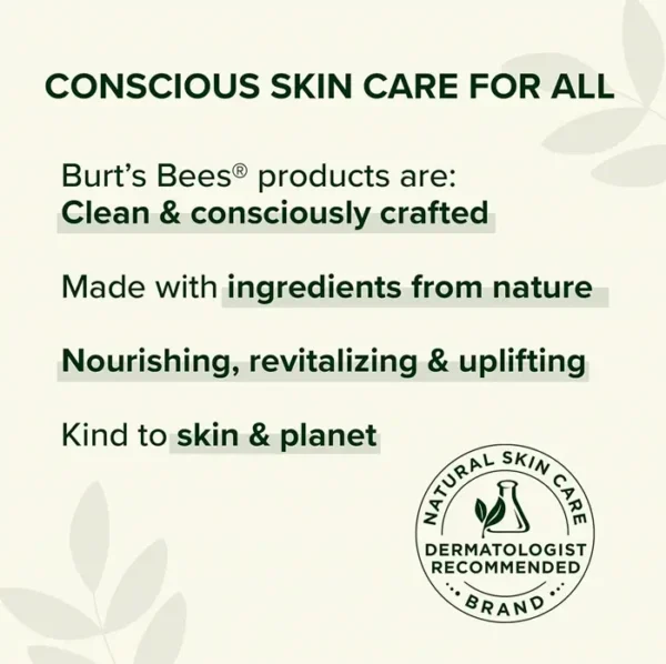 Burt's Bees Fever Blister Treatment Kit