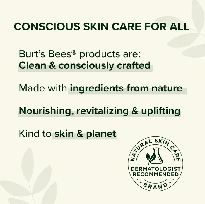 Burt's Bees Fever Blister Treatment Kit