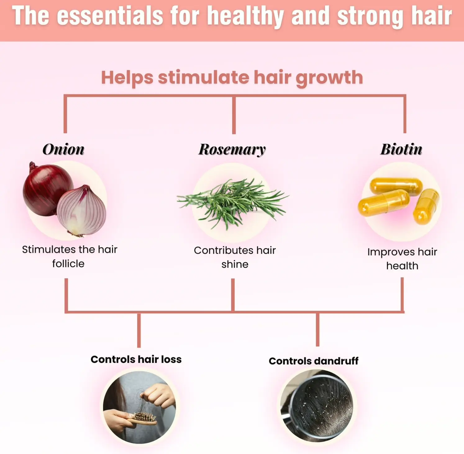 Onion Biotin Rosemary Shampoo & Treatment Kit for Stronger Locks